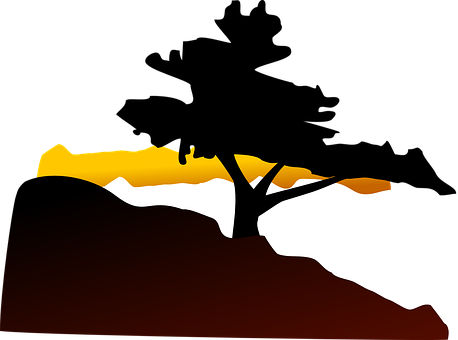 Abstract Savanna Sunset Silhouette.jpg PNG