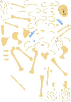Abstract Skeleton Puzzle Pieces PNG