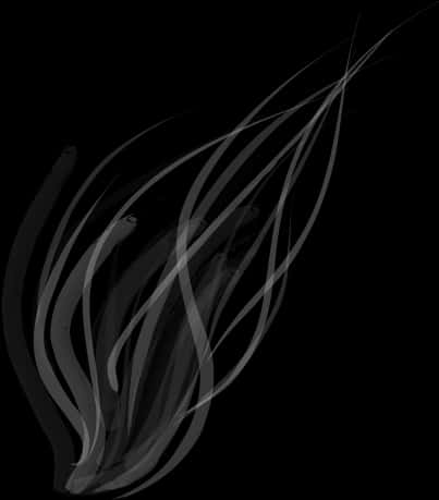Abstract Smoke Lineson Black Background PNG