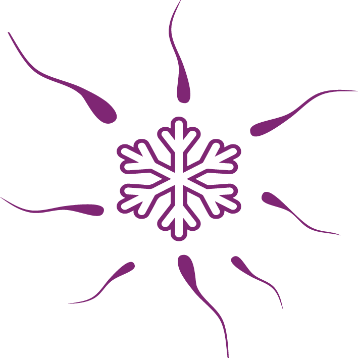 Abstract Snowflake Design PNG