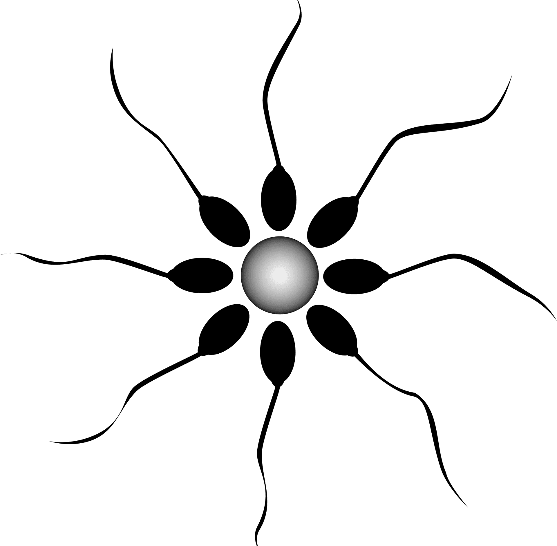 Abstract Sperm Fertilization Graphic PNG