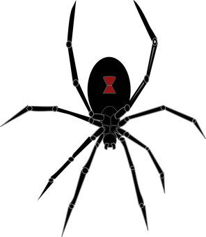 Abstract Spider Artwork PNG