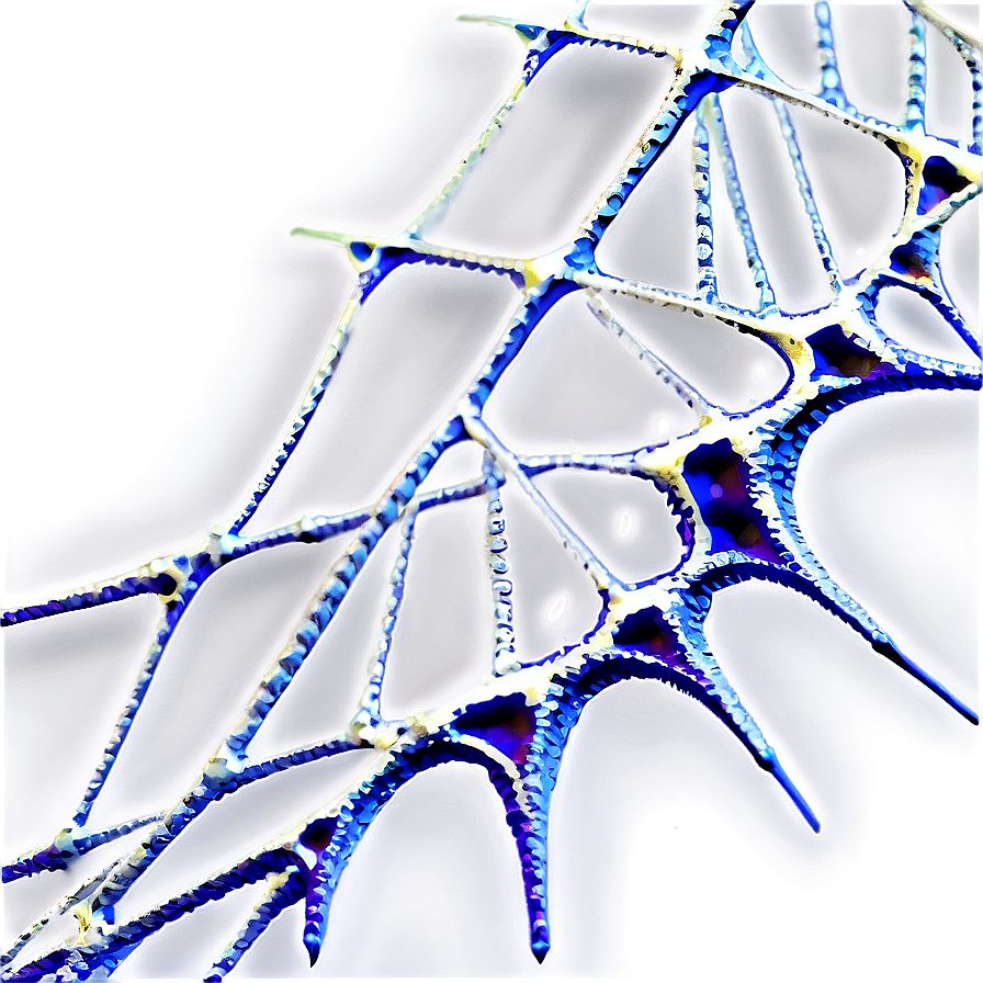 Abstract Spider Web Artwork PNG
