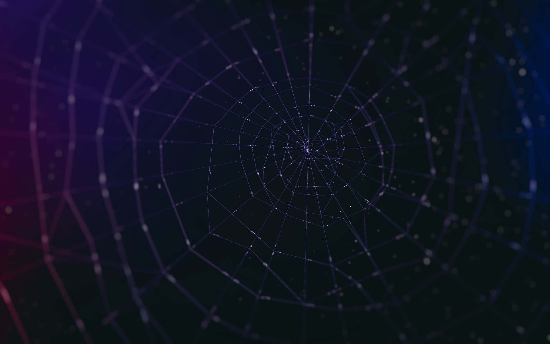 Abstract Spider Web Network Background Wallpaper