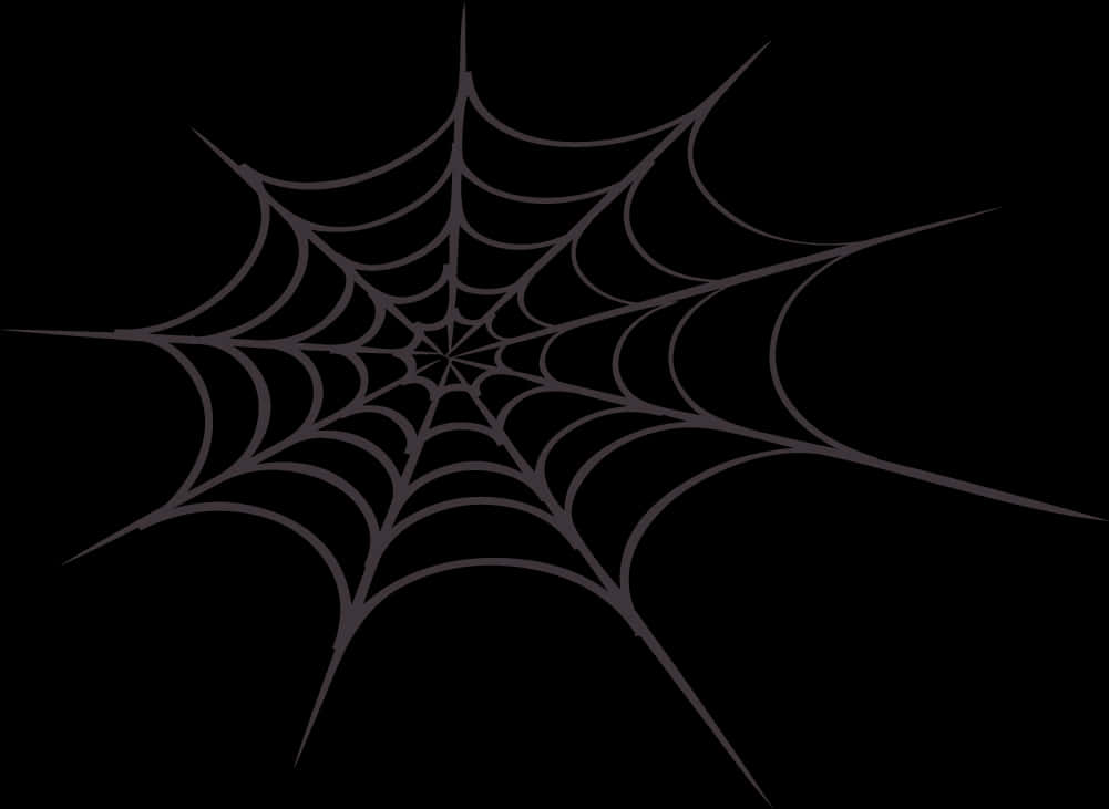 Abstract Spider Webon Black Background PNG