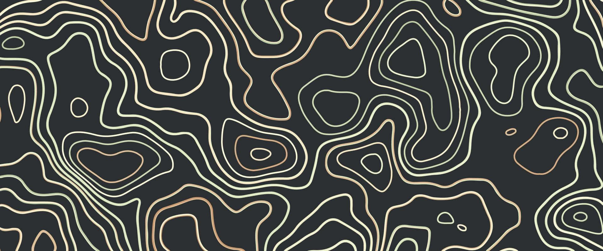 Abstract Topographic Contours Black Background Wallpaper