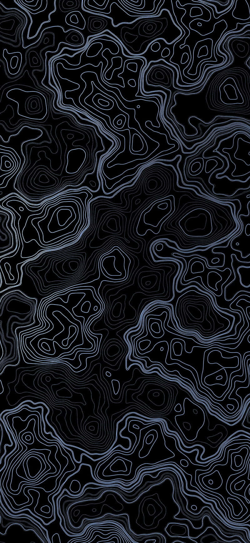 Abstract Topographic Lines Art Wallpaper