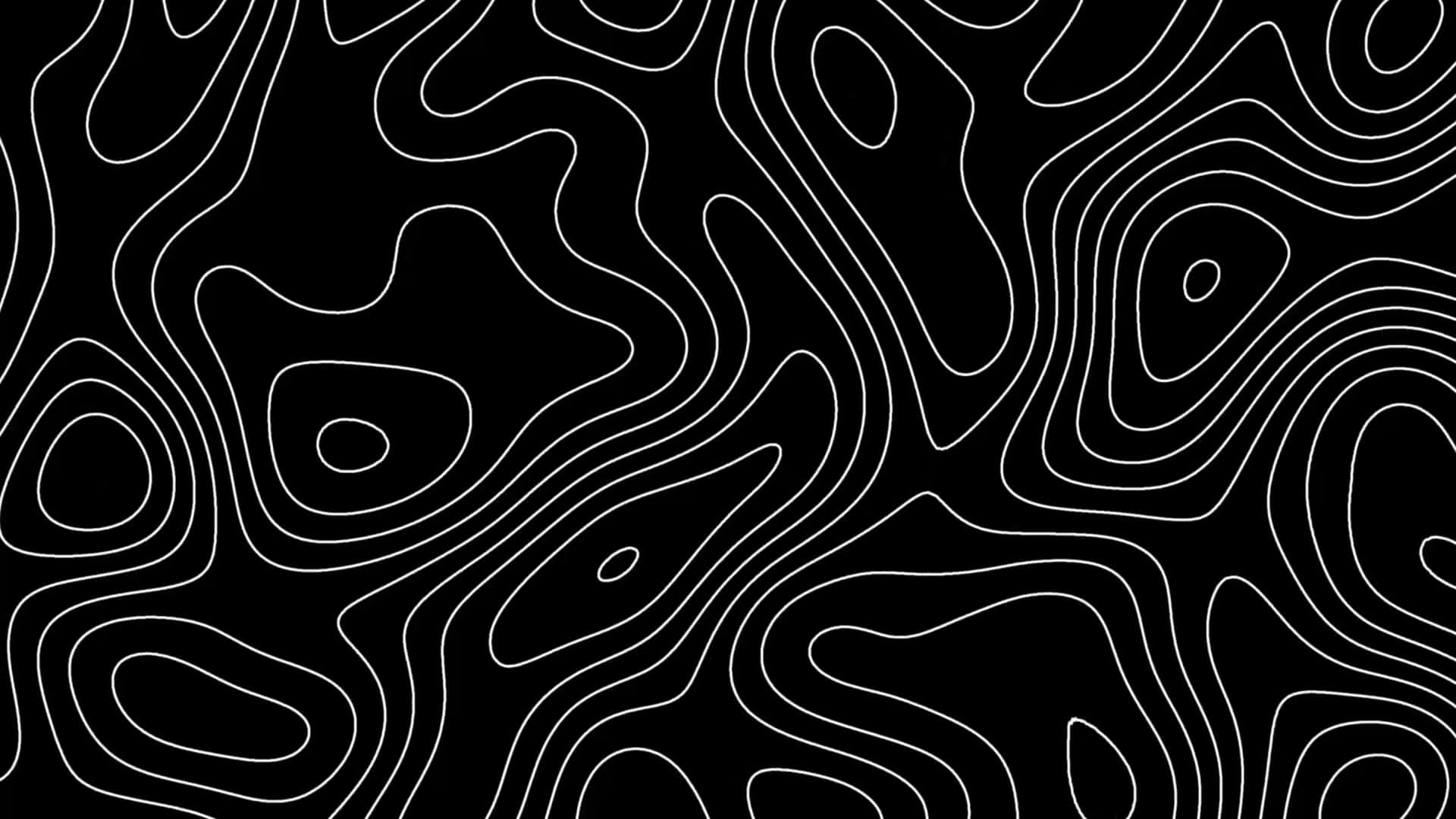 Abstract Topographic Lines4 K B W Wallpaper