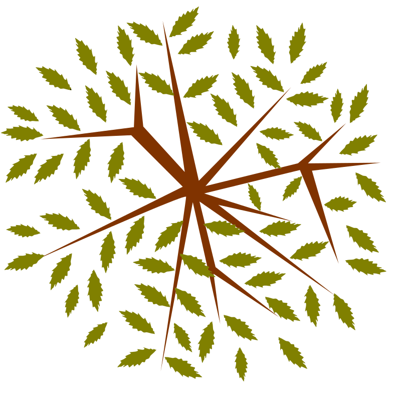 A stylized tree with brown branches and olive green leaves radiating outward on black background