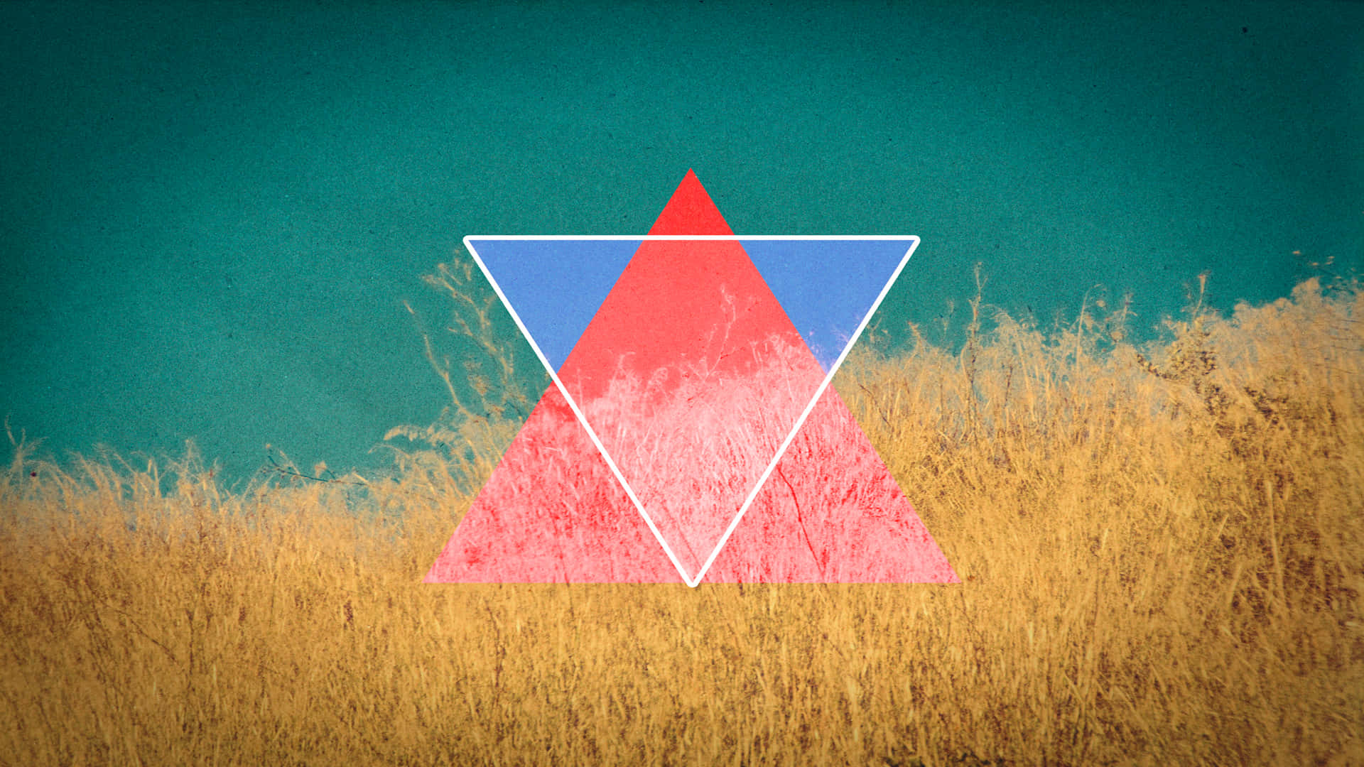 Abstract Triangle Field Backdrop Wallpaper