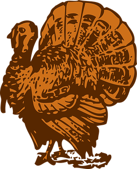Abstract Turkey Silhouette PNG