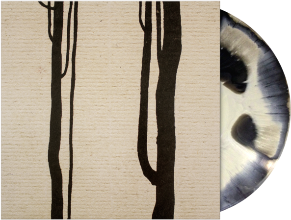 Abstract Vinyl Record Art PNG
