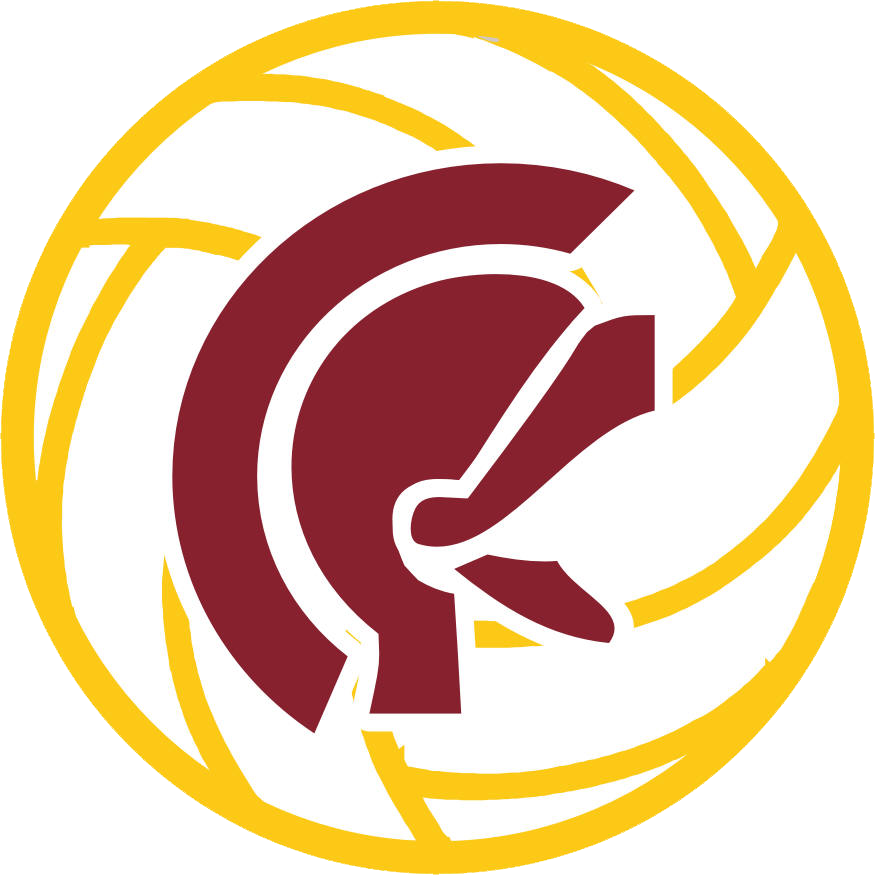 Abstract Volleyball Team Logo PNG