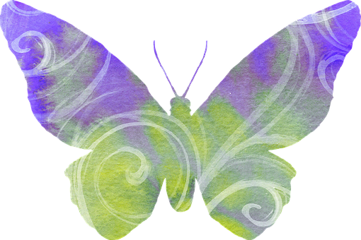 Abstract Watercolor Butterfly PNG