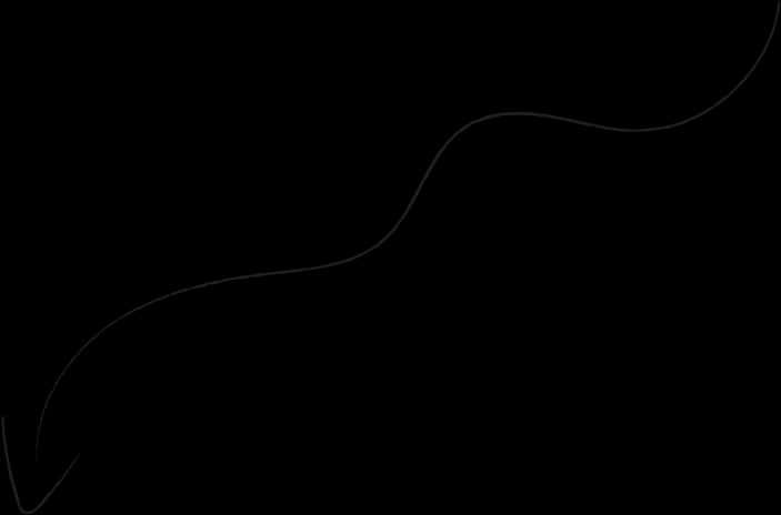 Abstract Wavy Line Art PNG