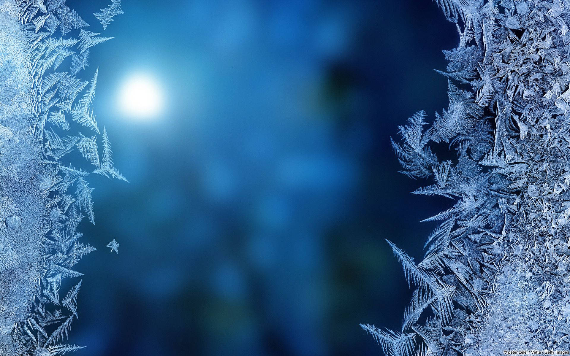Abstract White Feathers Microsoft Wallpaper