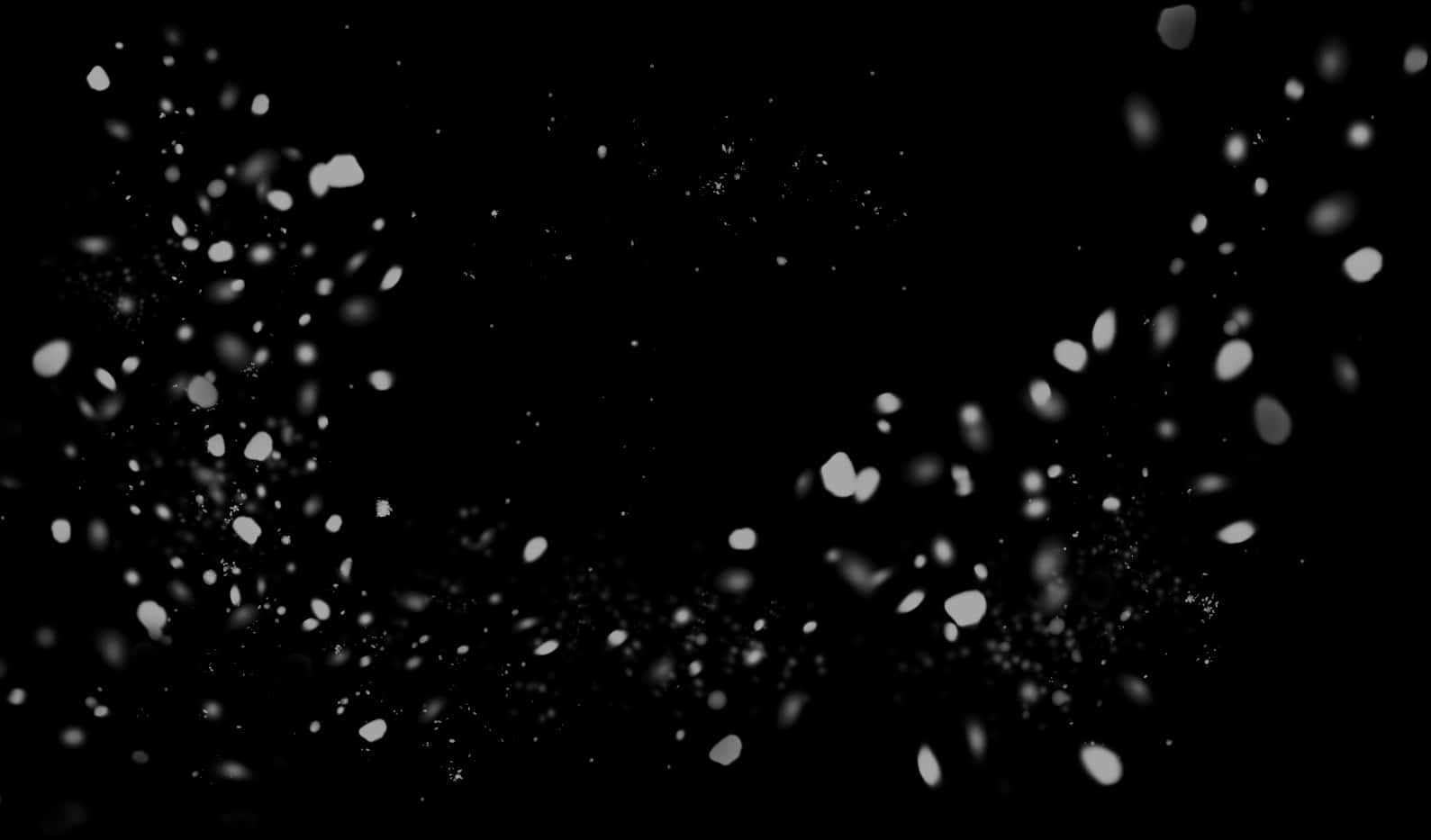 Abstract White Particleson Black Background PNG