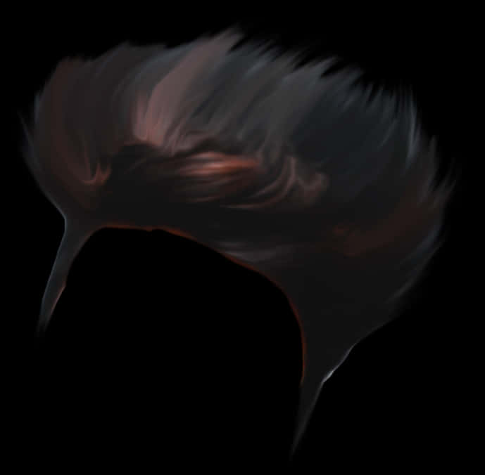 Abstract_ Black_ Hair_ Swoosh PNG