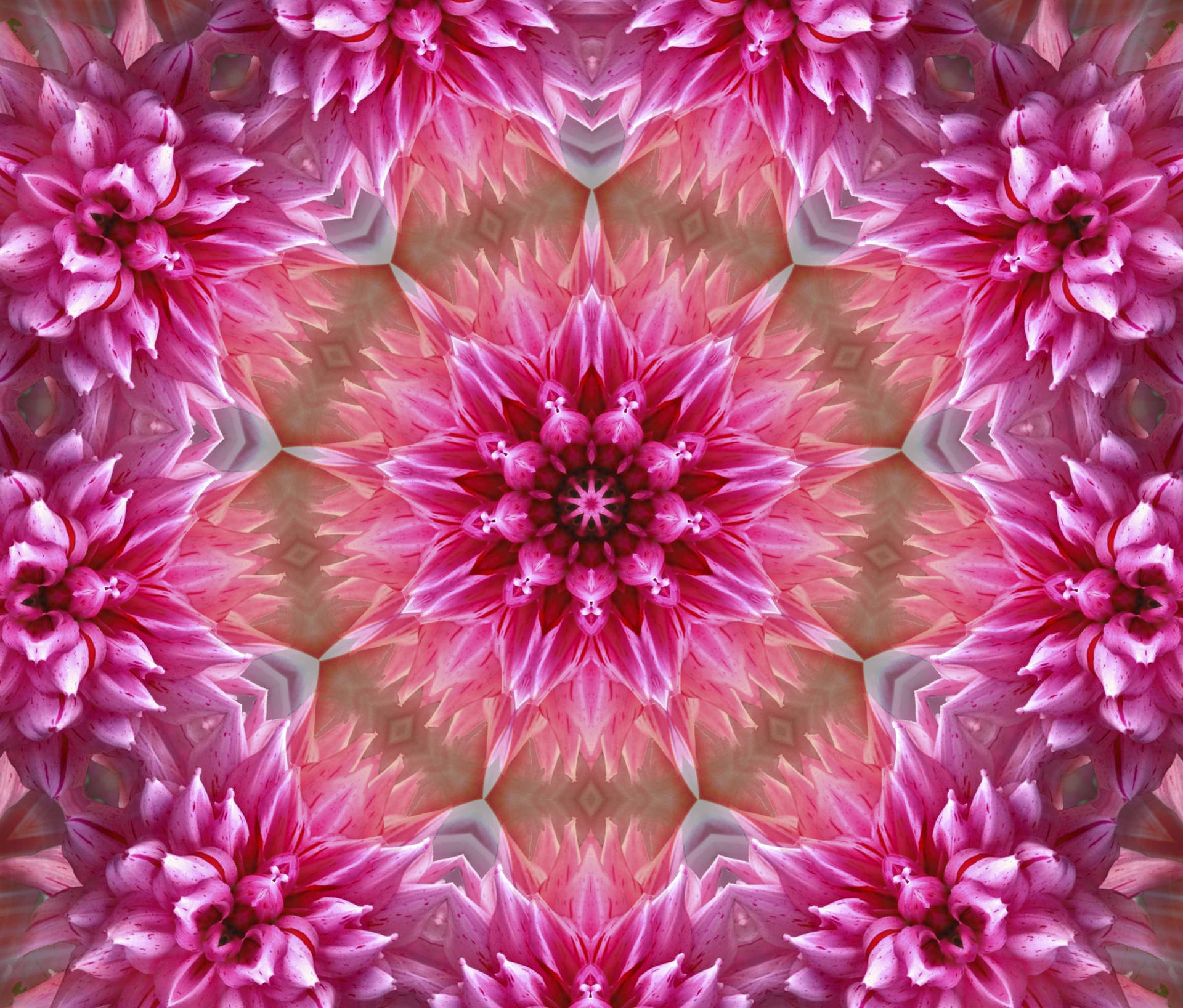 Abstrakt Pink Farve Blomstermønster Wallpaper