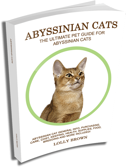 Abyssinian Cats Ultimate Pet Guide Book Cover PNG