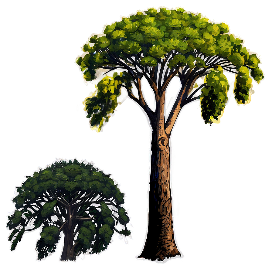 Acacia Tree Sketch Png Oar50 PNG