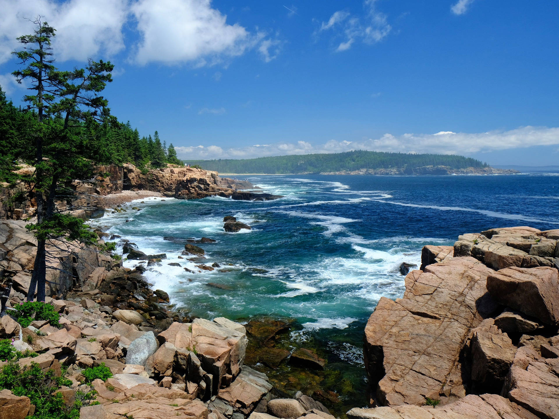 Acadia National Park Clear Blue Sea Wallpaper