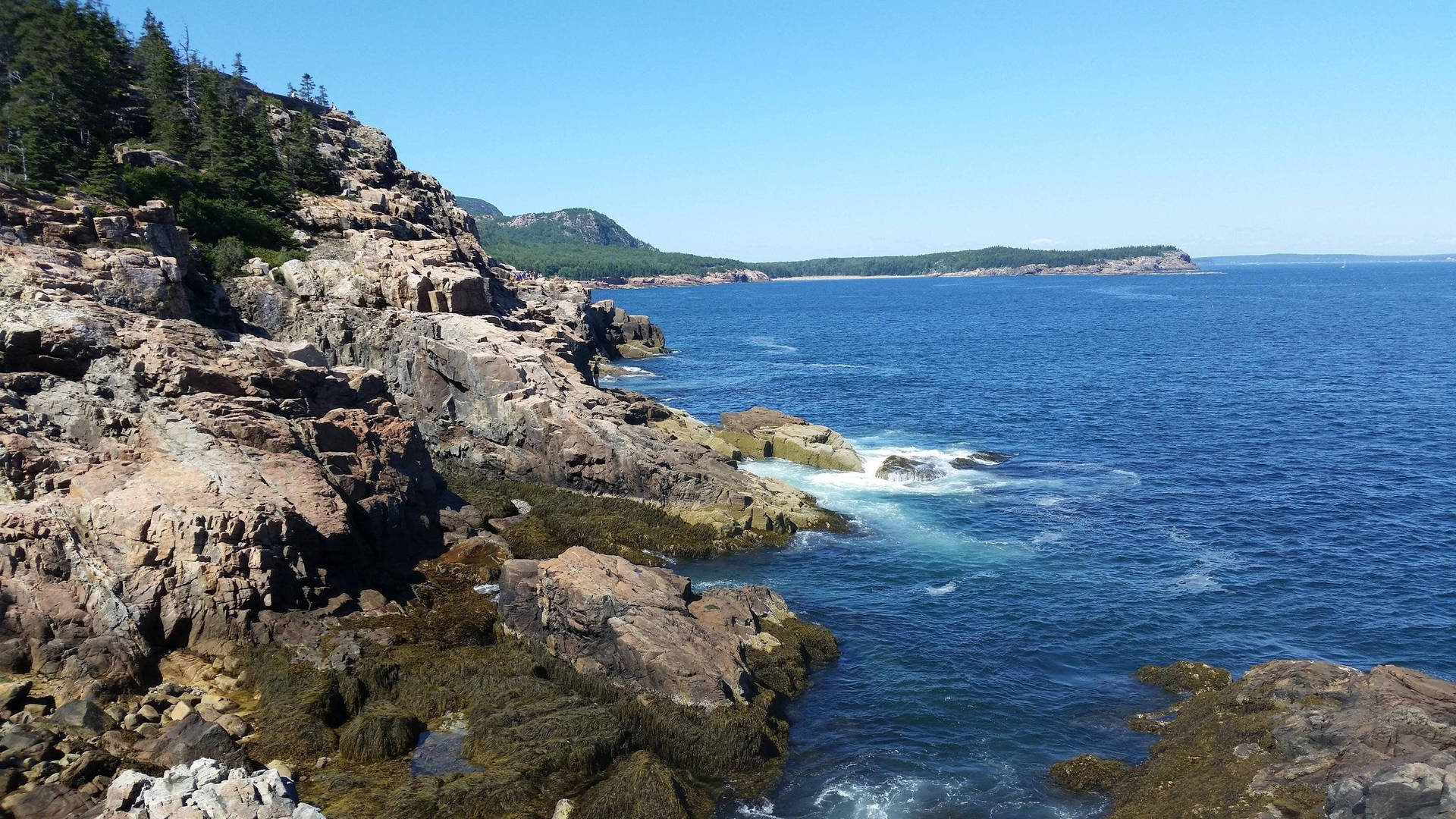 Acadia National Park Kystlinje Tapet: Tag en pause fra almindelighederne og nyd det berømte Acadia National Park Coastline-panorama. Wallpaper