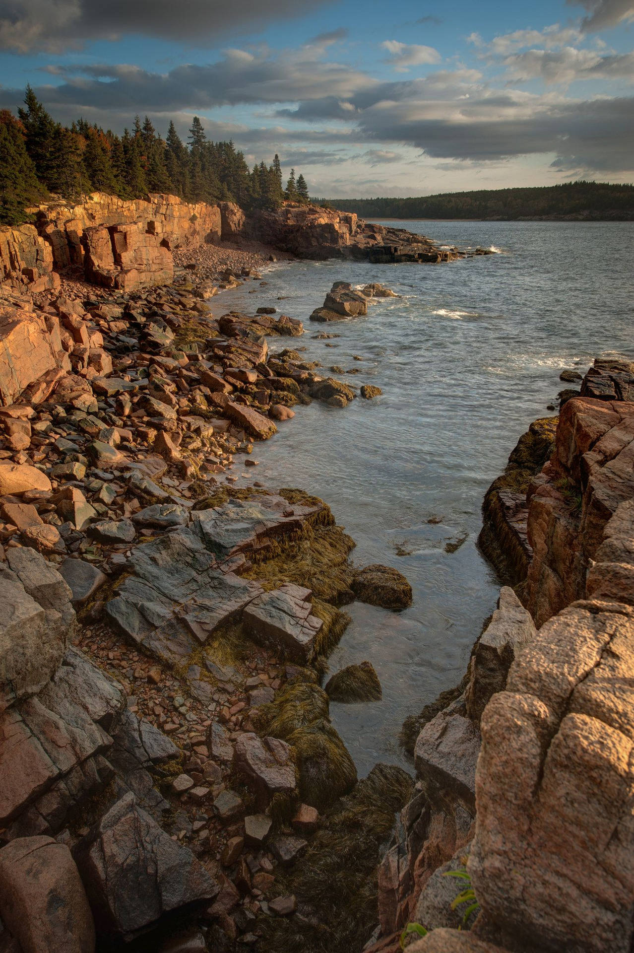 Captivating View of Rocky Cliffs at Acadia National Park Wallpaper