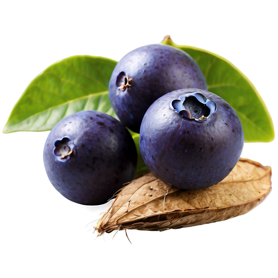 Açai A PNG