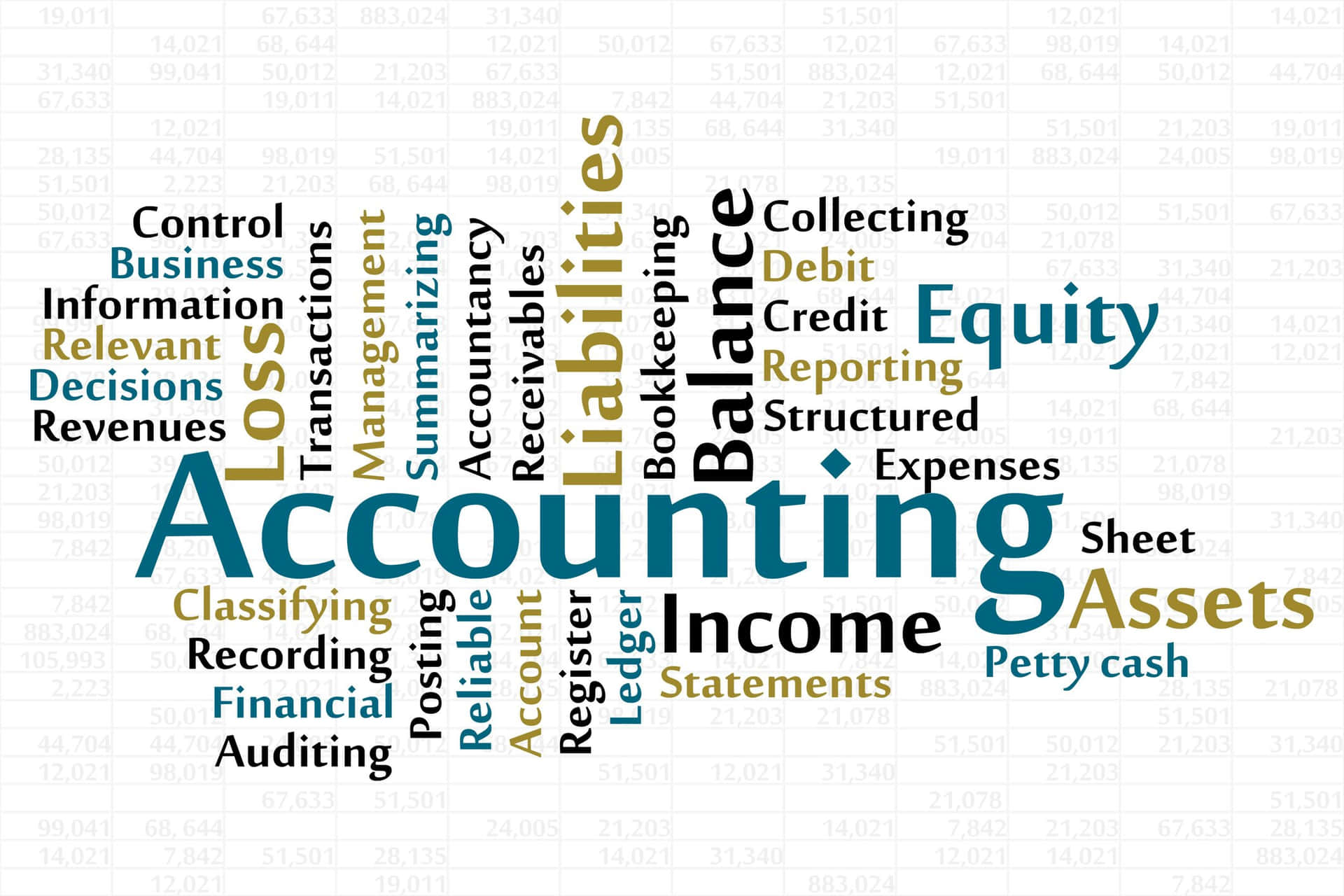 Accounting Word Cloud