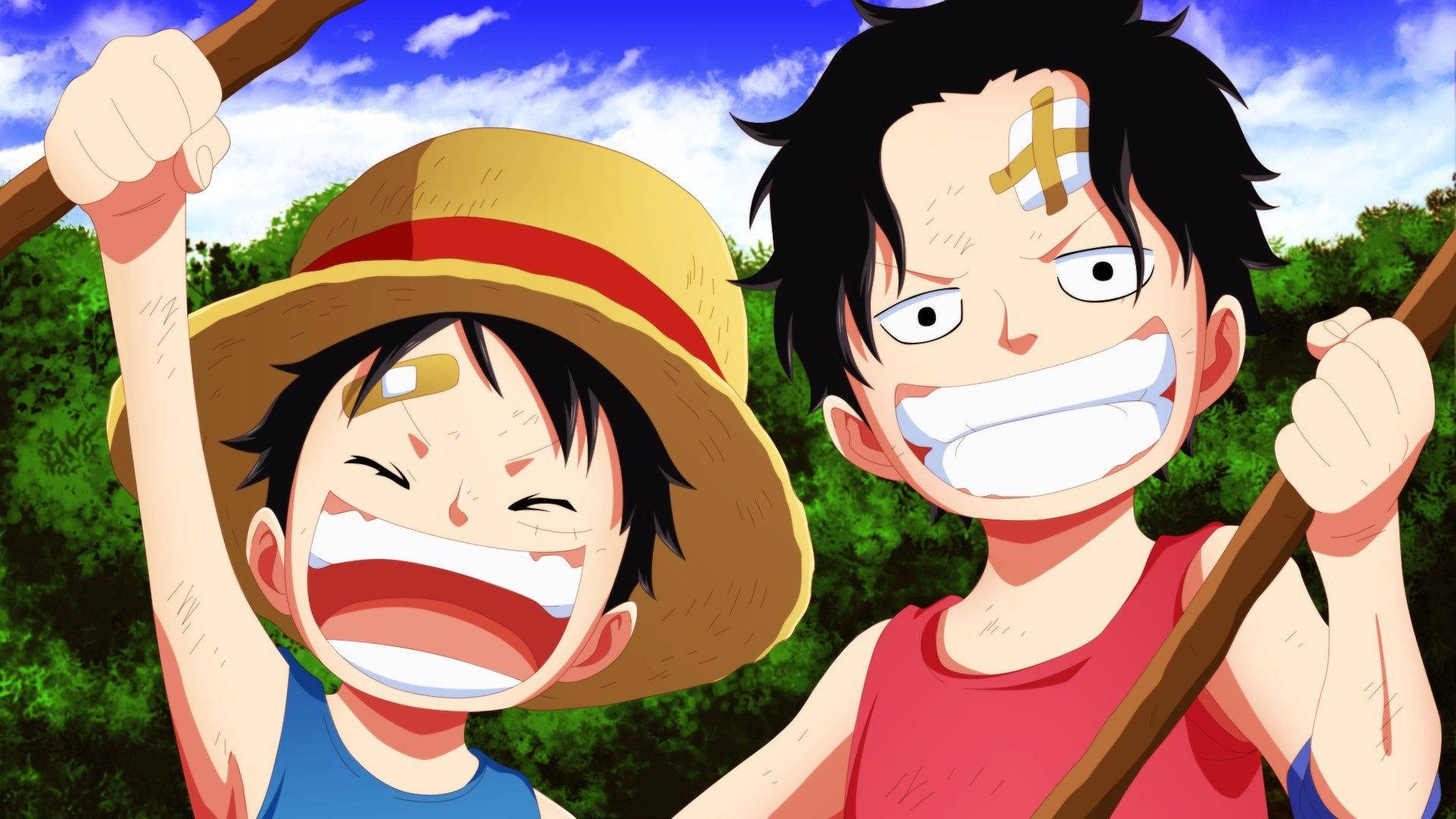 Ace And Luffy Smile Background