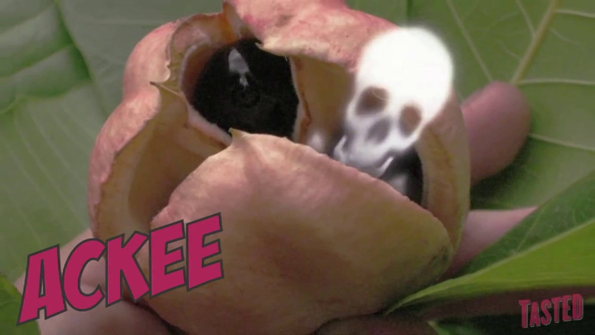 Frutade Ackee Memorable Y Divertido Meme Fondo de pantalla