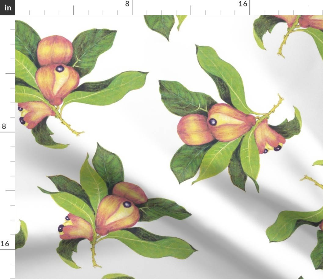 Ackee Fruit Table Cloth Wallpaper