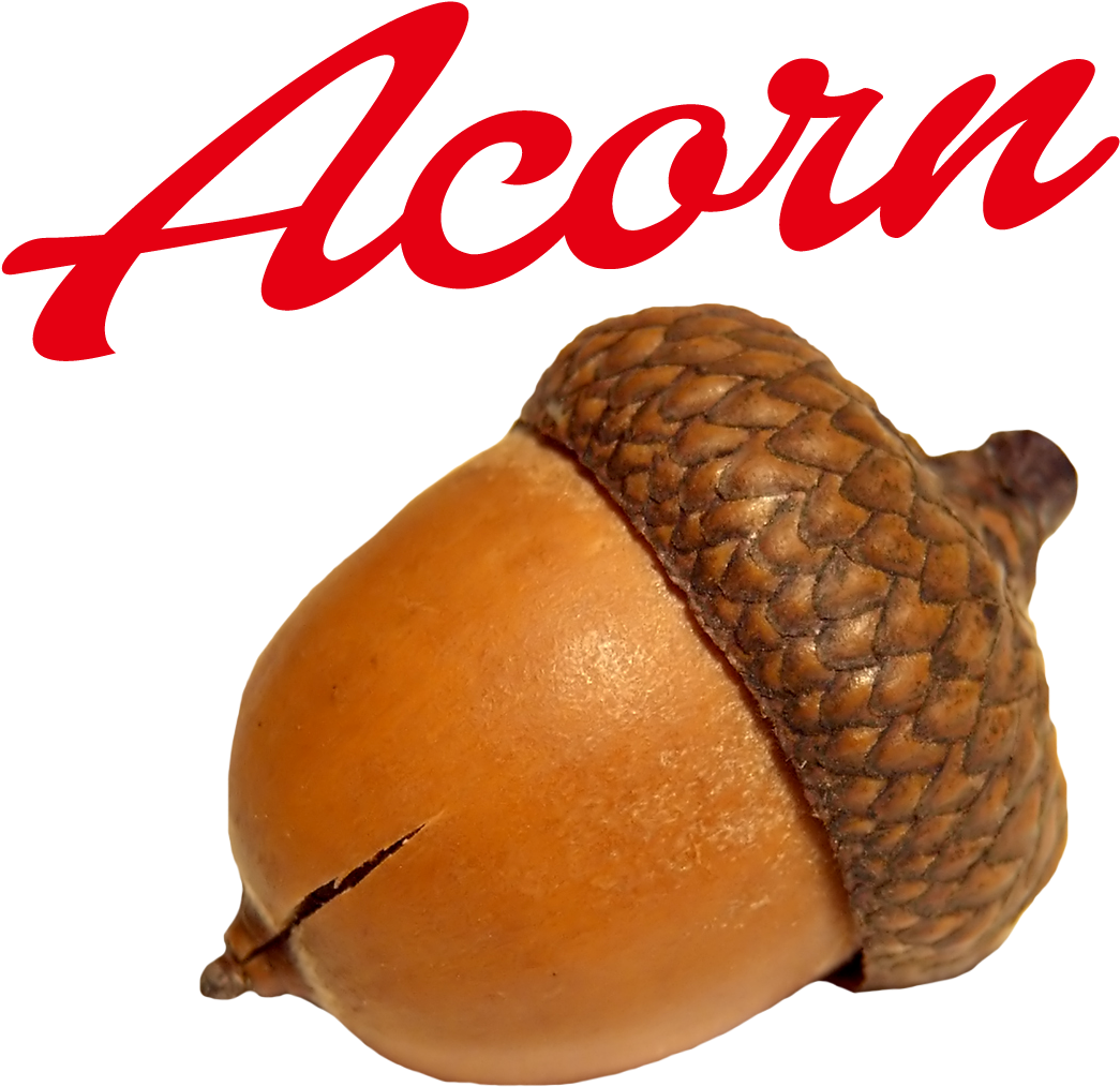 Acorn Brand Logo PNG