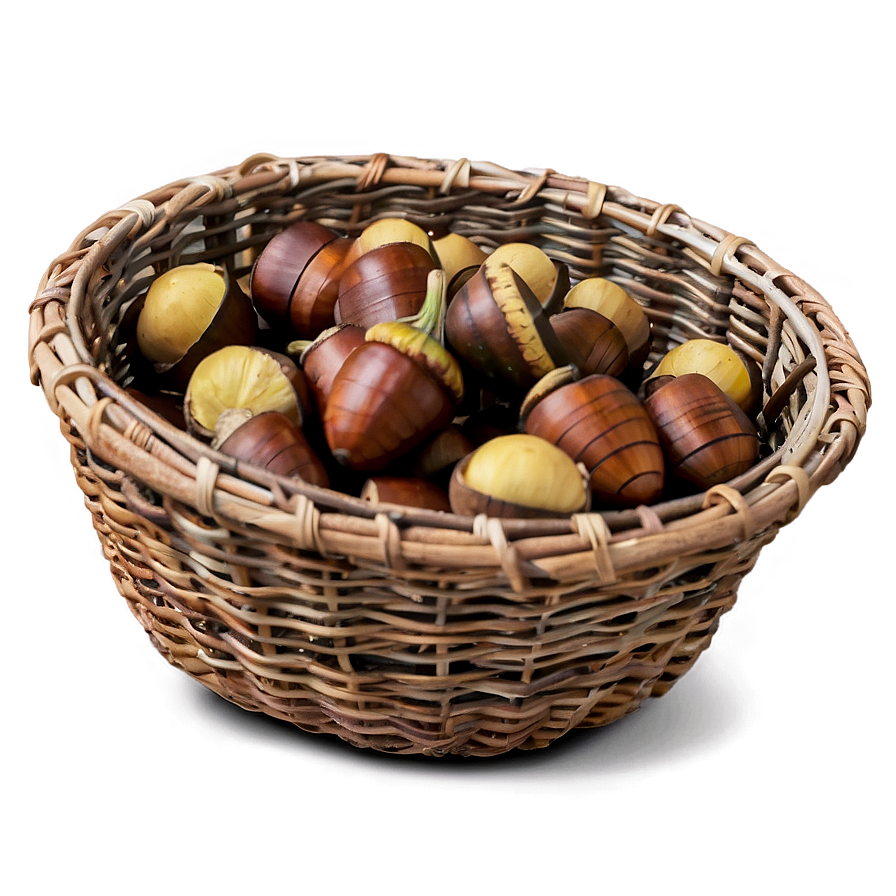 Download Acorn In Basket Png 65 | Wallpapers.com