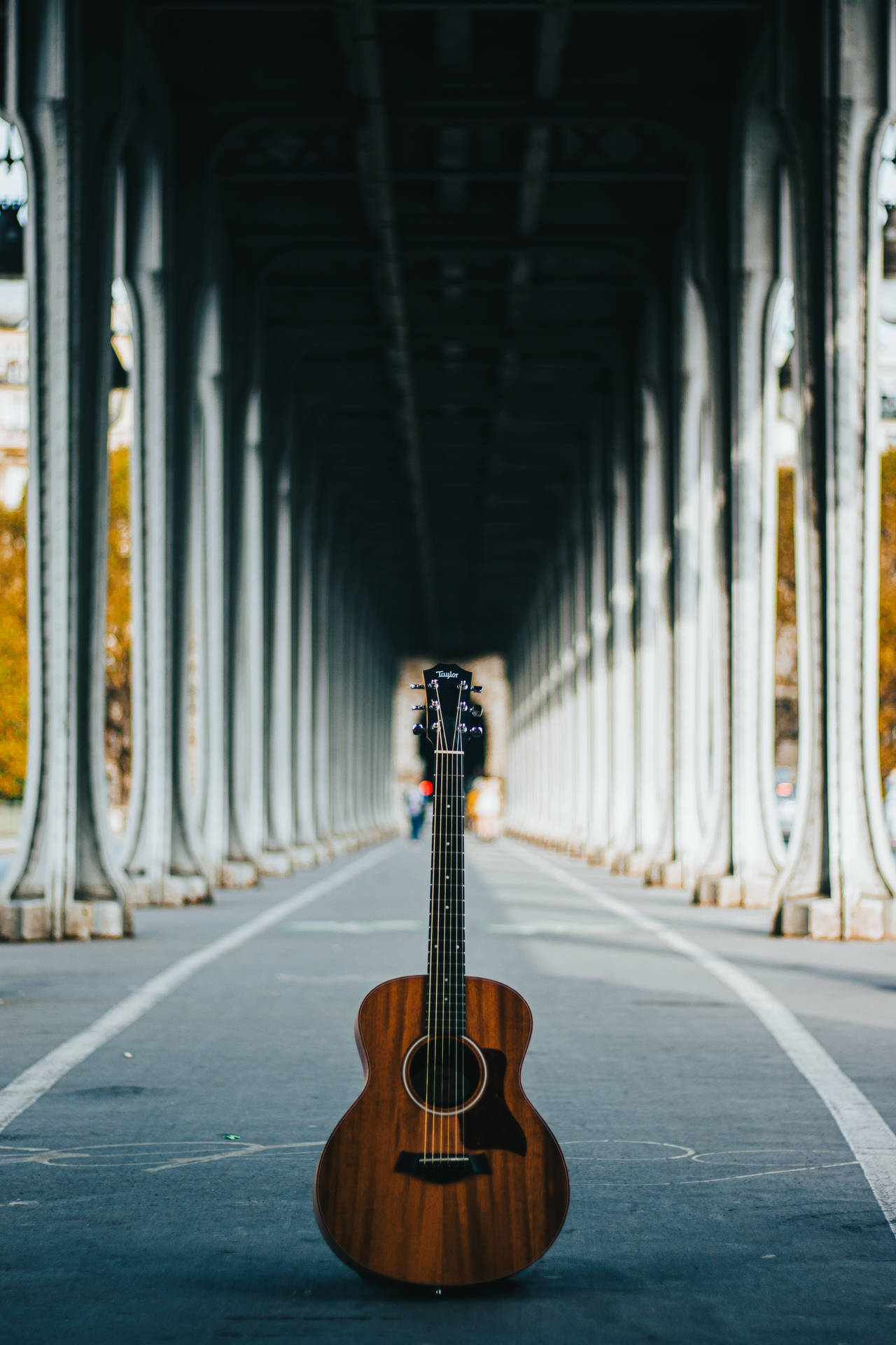 Acoustic Guitar Bir Hakeim Bridge SVG