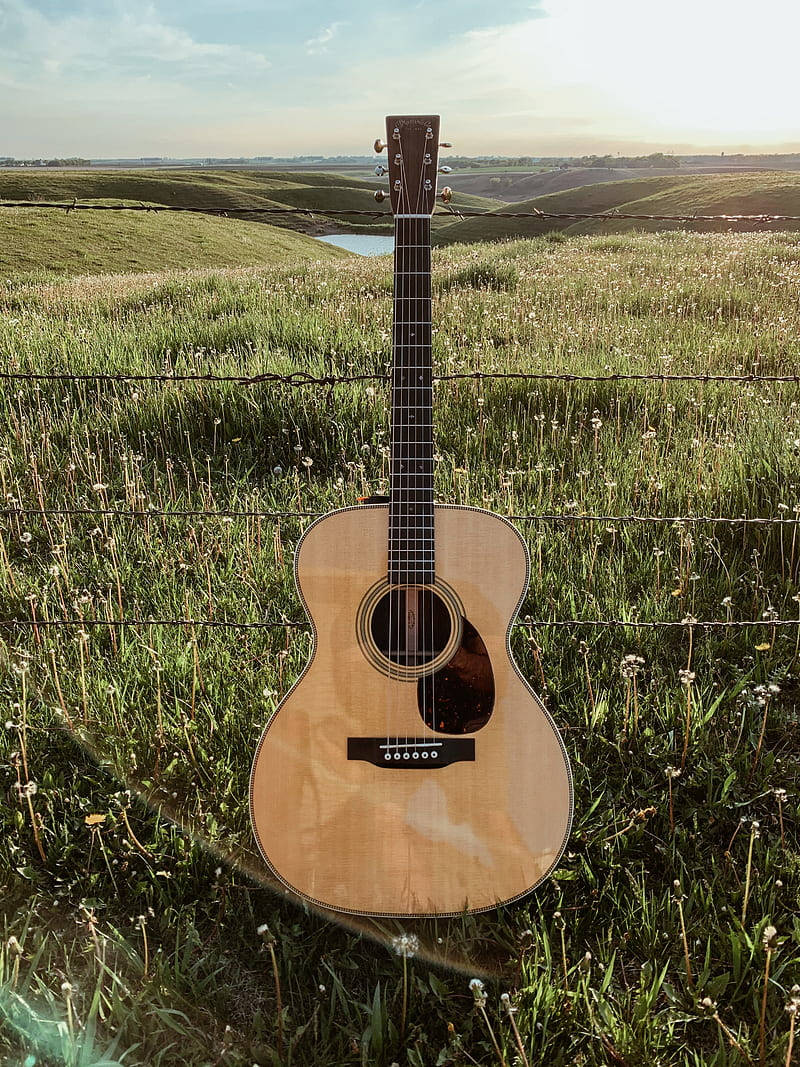 Acoustic Guitar Green Grass Field Wallpaper