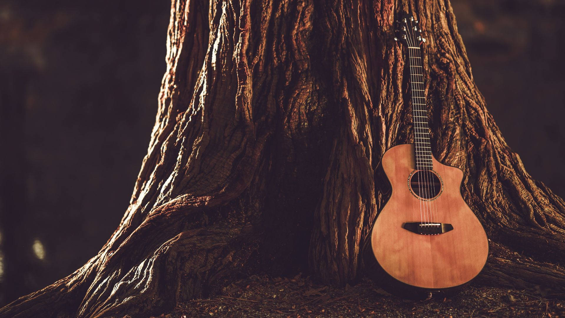 Acoustic Guitar Trank Of Tree Wallpaper