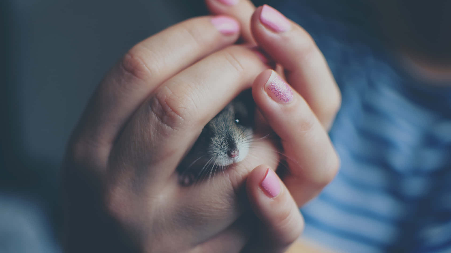 A Woman Holding A Small Mouse In Her Hand Wallpaper