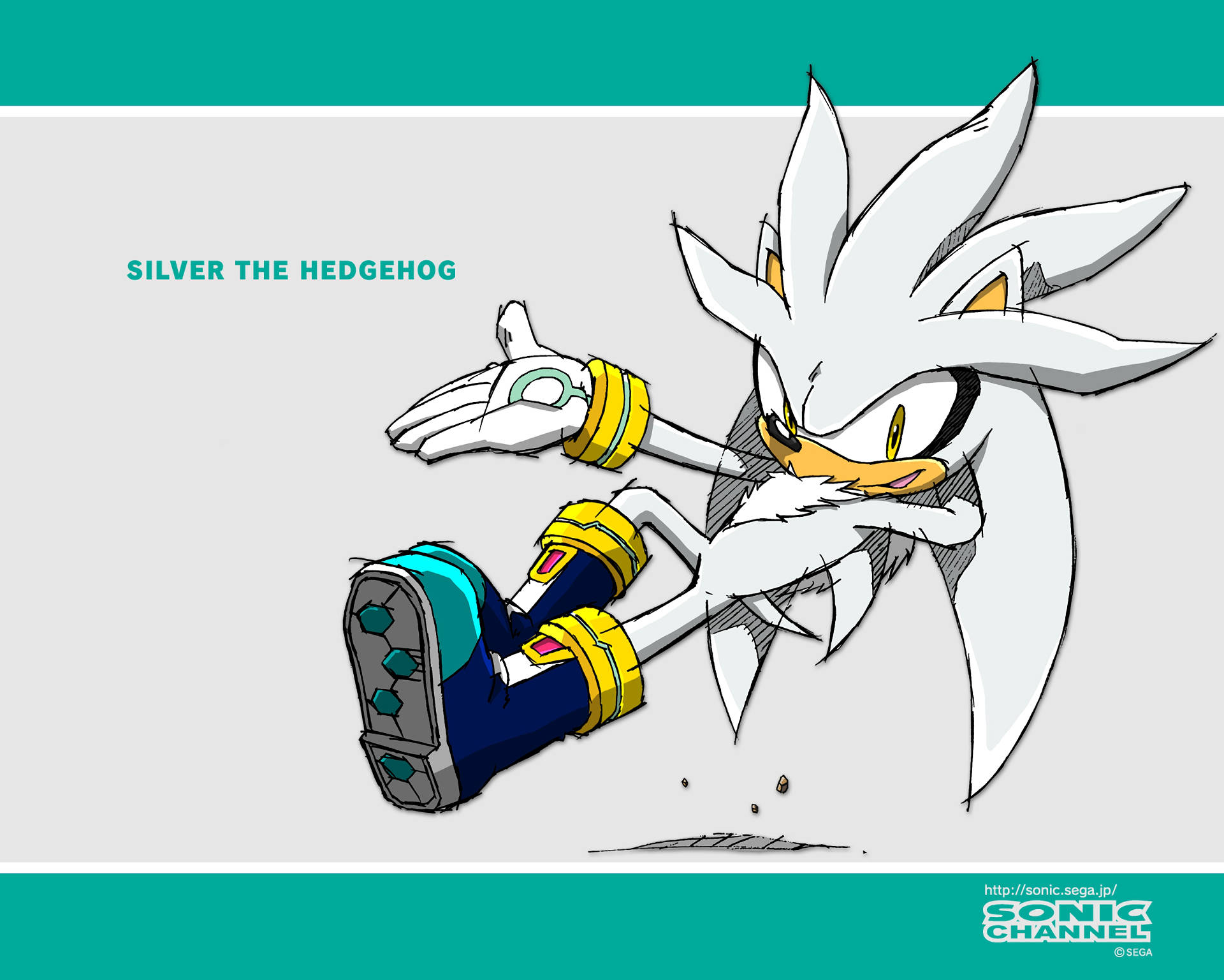 Action-packed Silver The Hedgehog Wallpaper