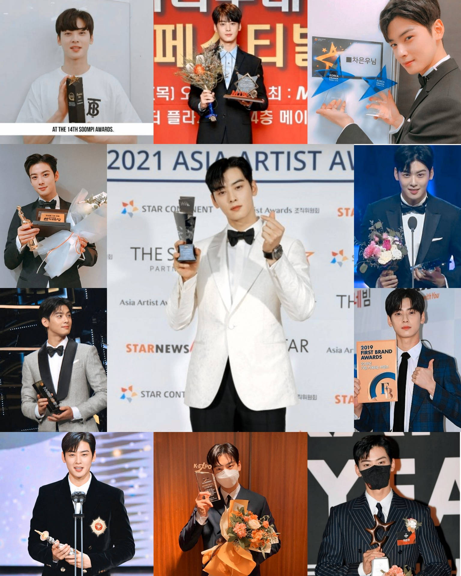 Actor Cha Eun Woo Awards Wallpaper