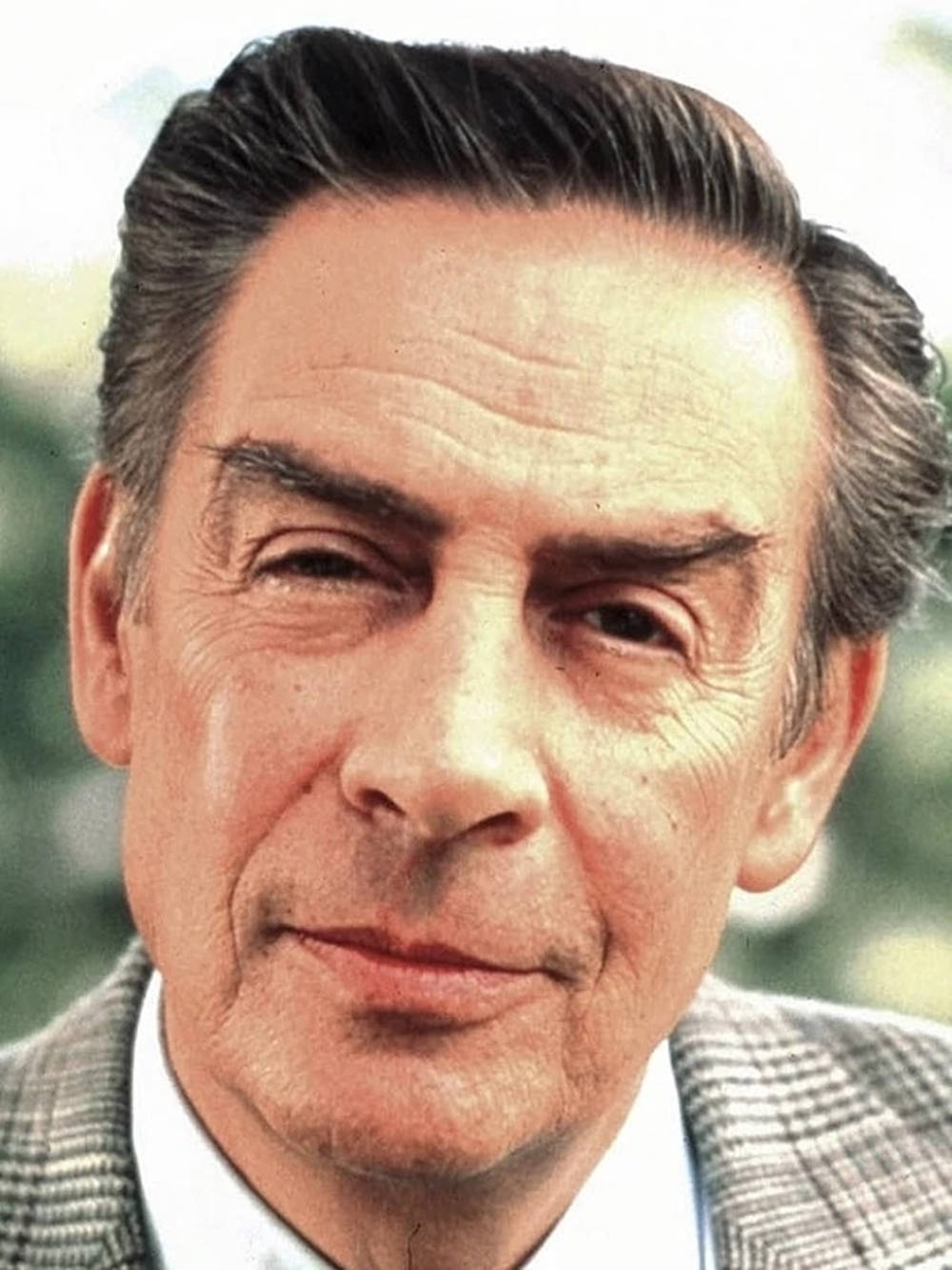 Actor Jerry Orbach Law And Order Wallpaper