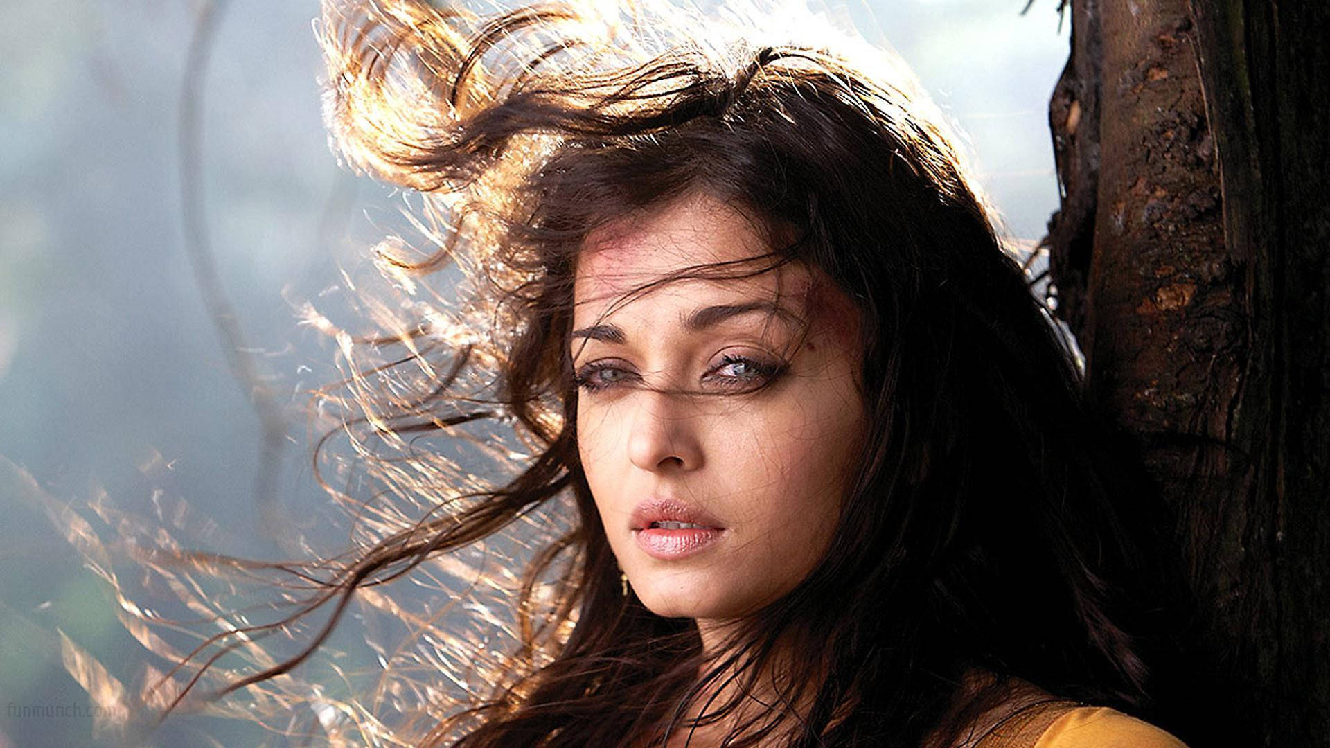 Celebrity Aishwarya Rai HD Wallpaper