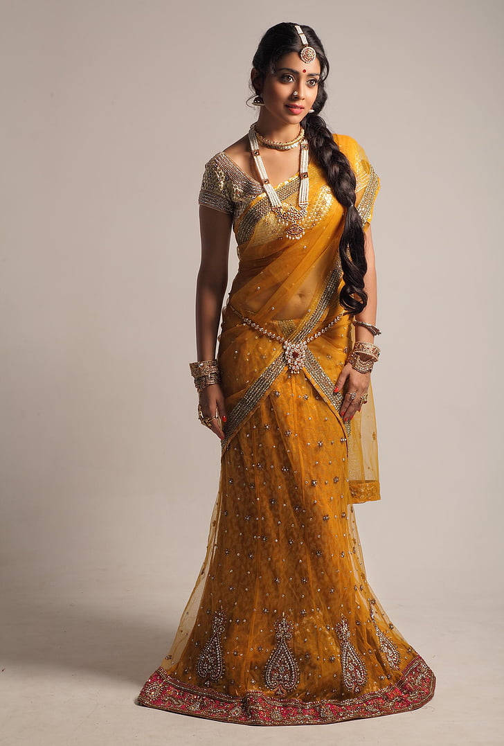 Actress Shriya Saran In A Saree