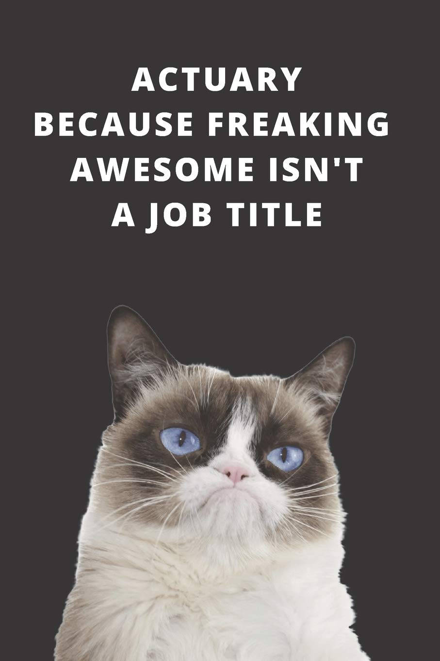 Actuary Cute Grumpy Cat Job Quote Background
