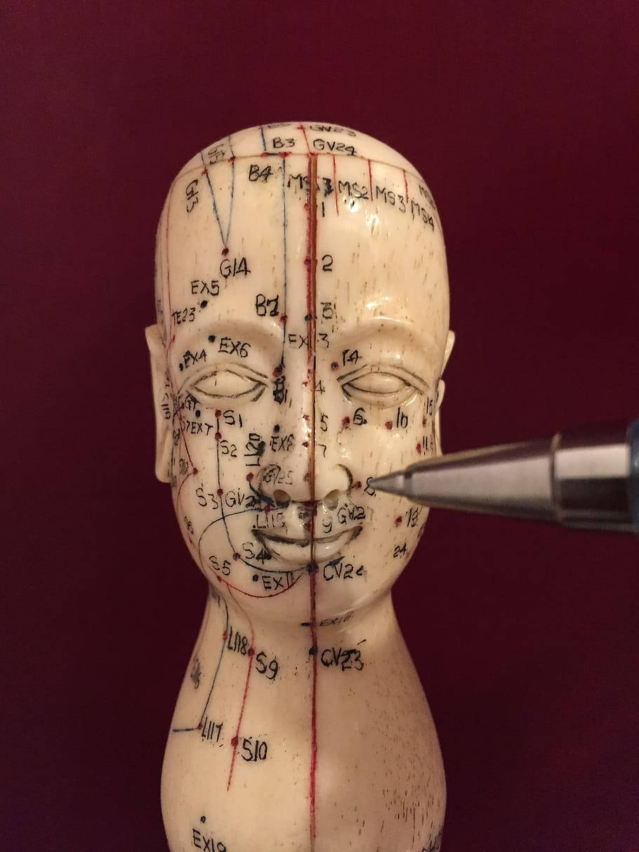 Acupuncturist with a Meridian Points Mannequin Wallpaper