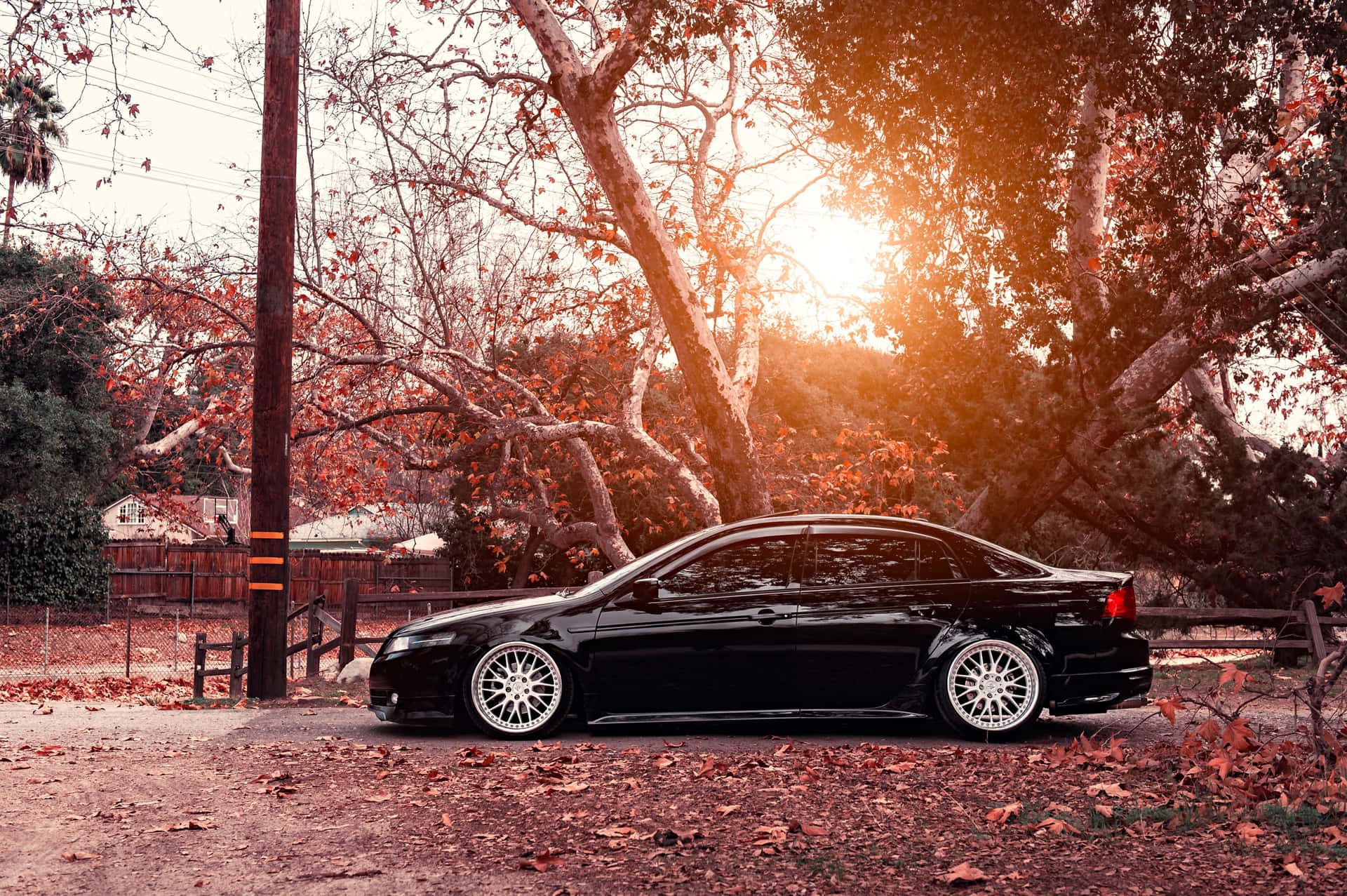 Stunning Acura TL in High Definition Wallpaper