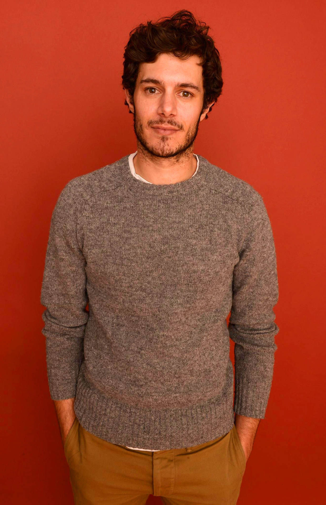 Adam Brody Grey Sweatshirt Wallpaper