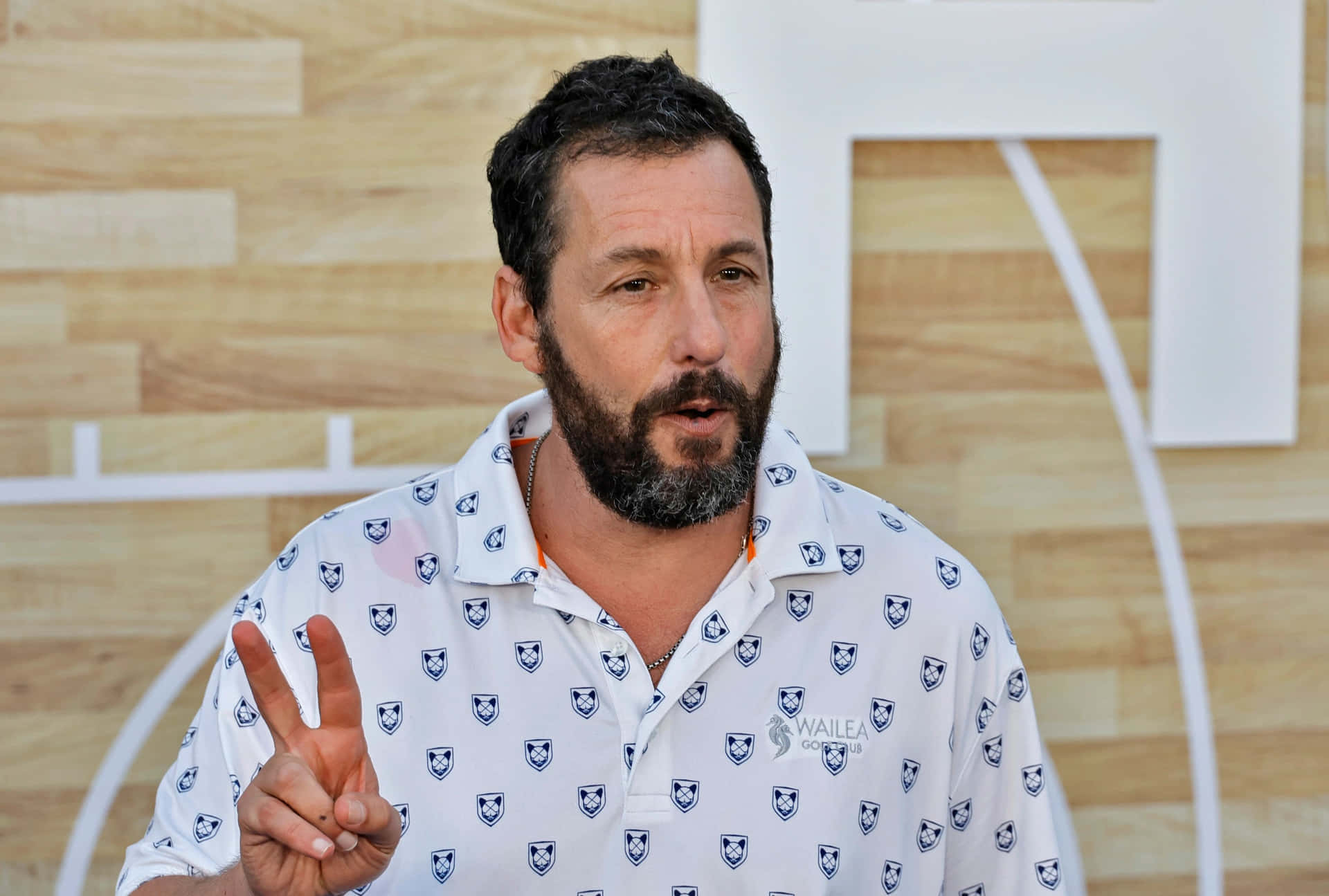 “Actor Adam Sandler Poses for a Picture”