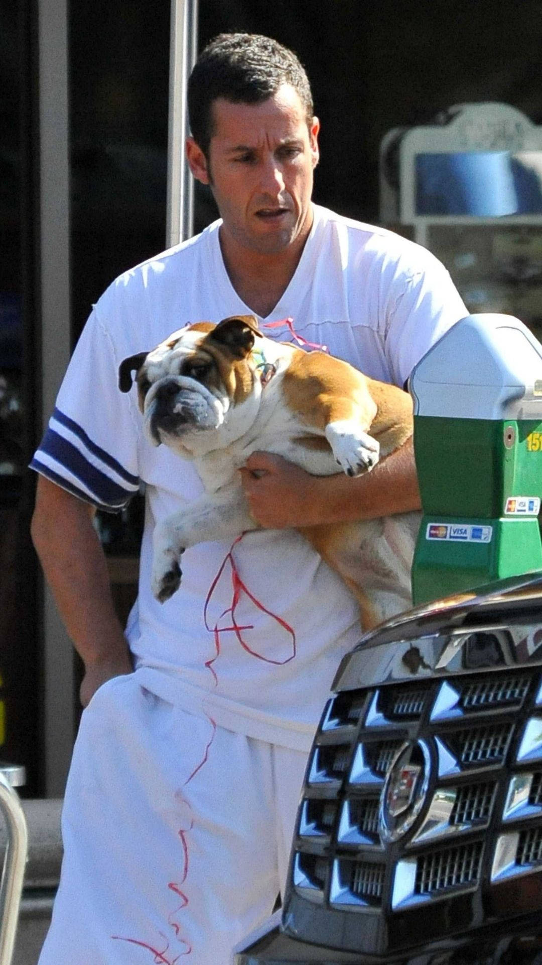 Adam Sandler With His Pug